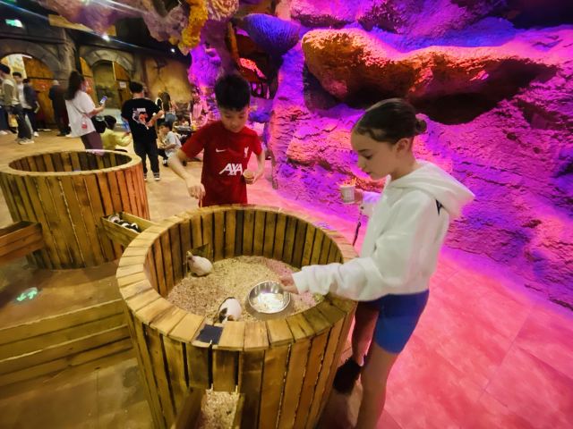 灵客欢乐动物园旅行图片 1