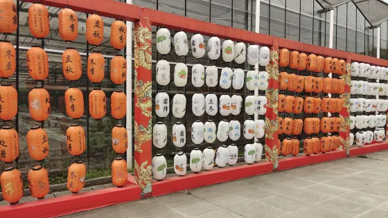 黃龍壹號生態園