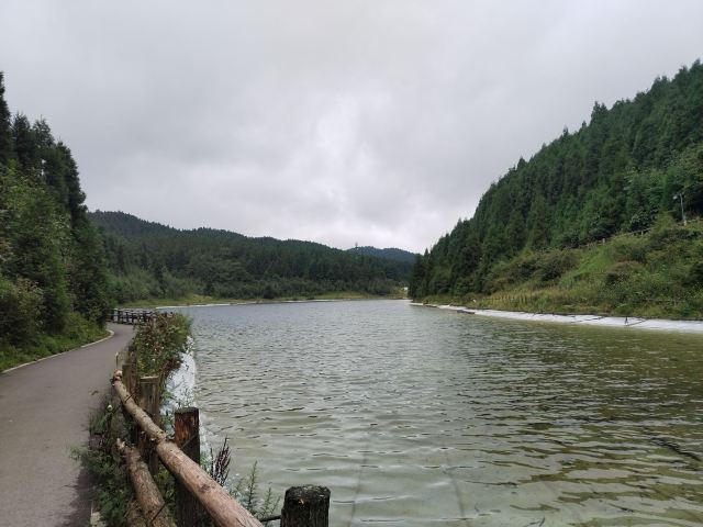 武陵山国家森林公园旅行图片 3