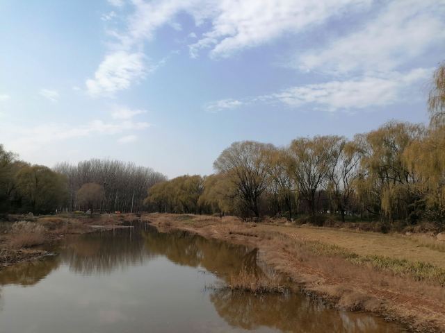 司马迁祠景区旅行图片 2
