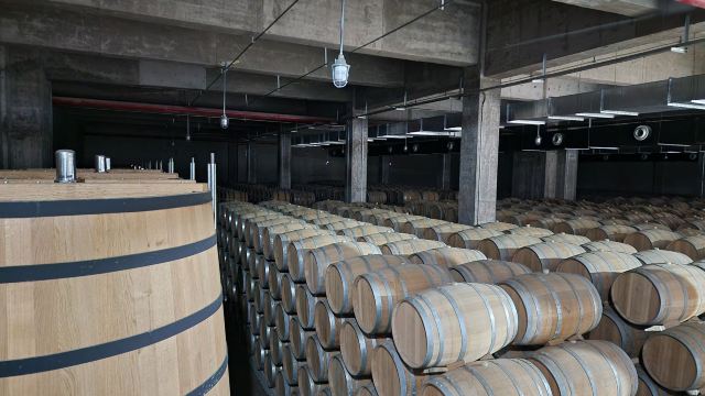 张裕国际葡萄酒城旅行图片 1