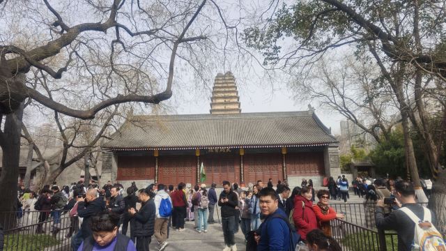 西安博物院旅行图片 3