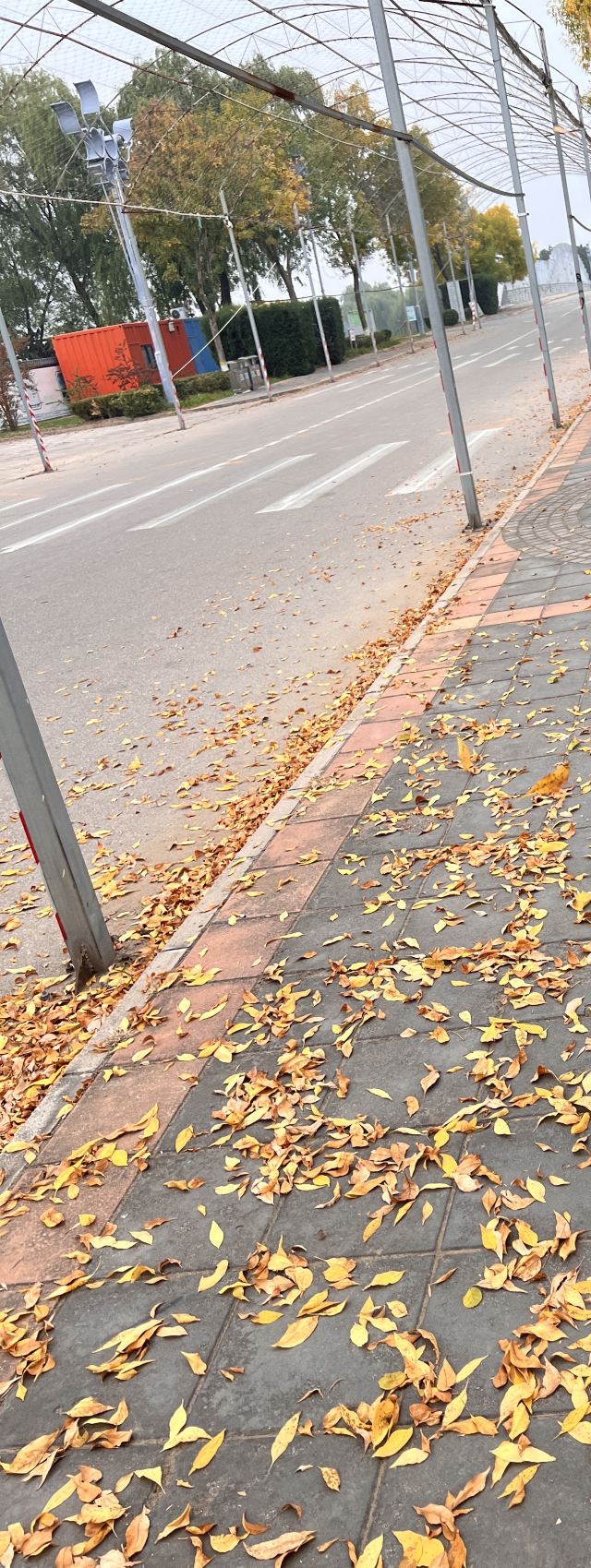 顺义奥林匹克水上公园旅行图片 1