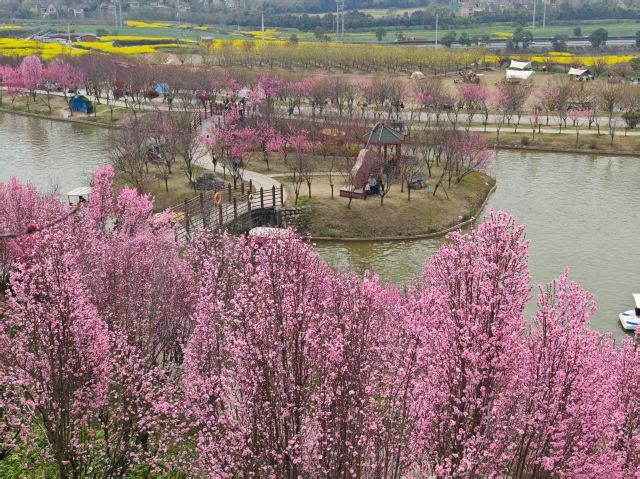 音乐·百花谷旅行图片 2