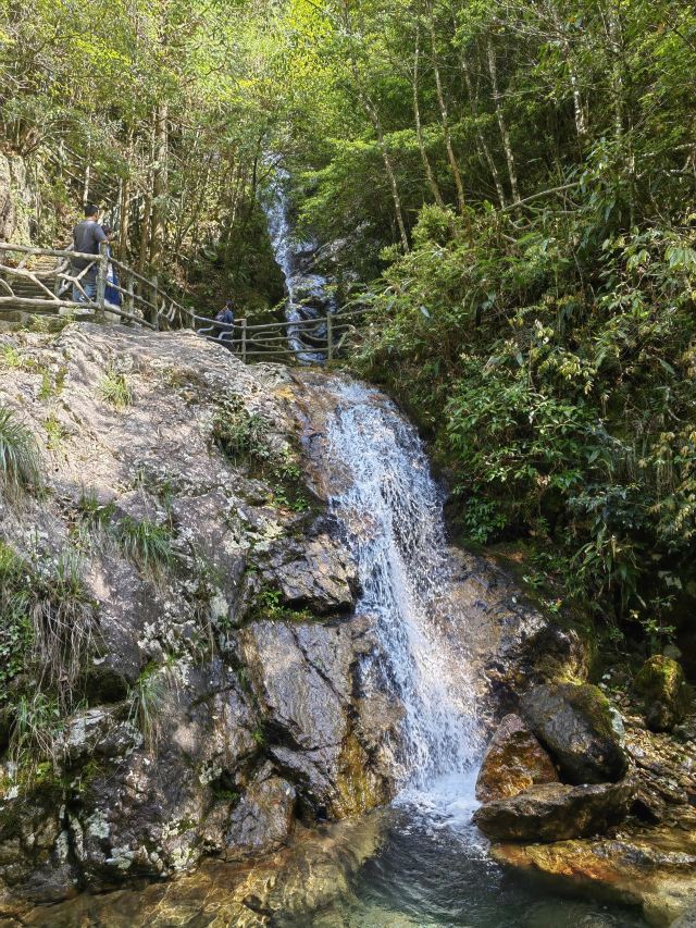 箬寮原始森林旅行图片 2