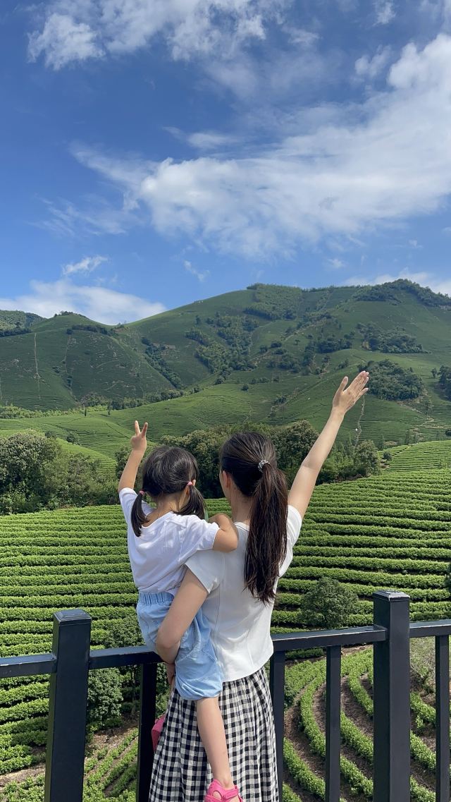 白茶原·安吉白茶观景平台旅行图片 1