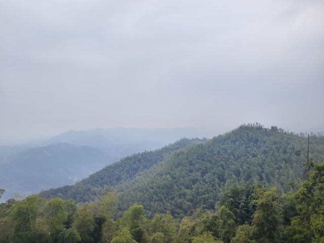 长沙黑麋峰森林公园旅行图片 7