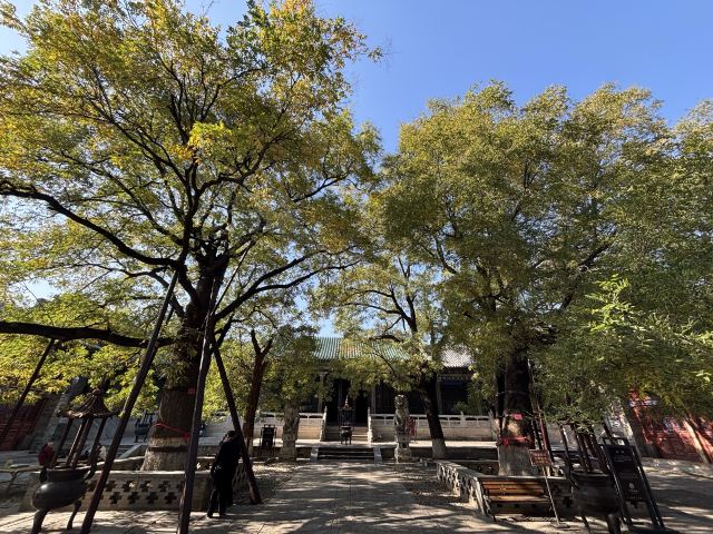 山陕会馆旅行图片 5