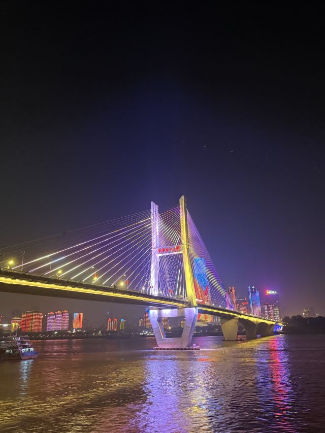 古琴号游船旅行图片 2