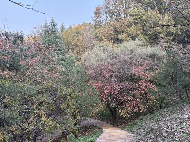 秦岭国家植物园旅行图片 1