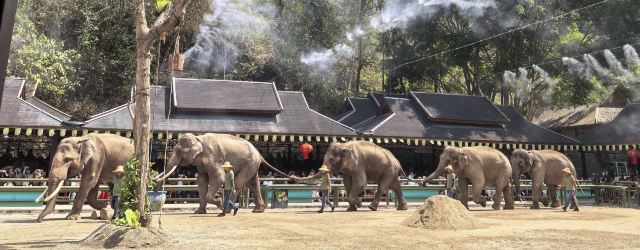 野象谷景区旅行图片 1