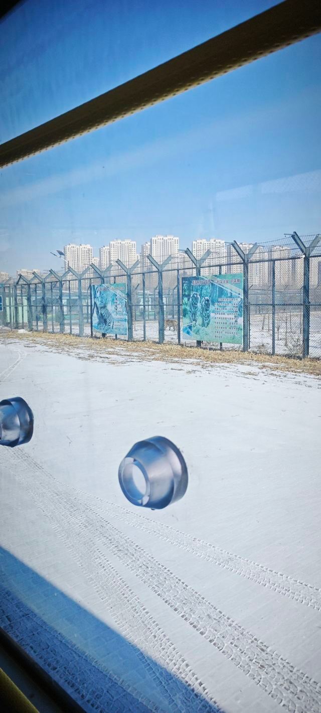 东北虎林园旅行图片 5