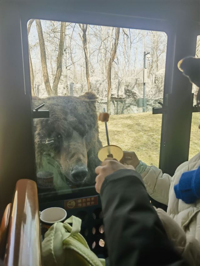 北京野生动物园旅行图片 1