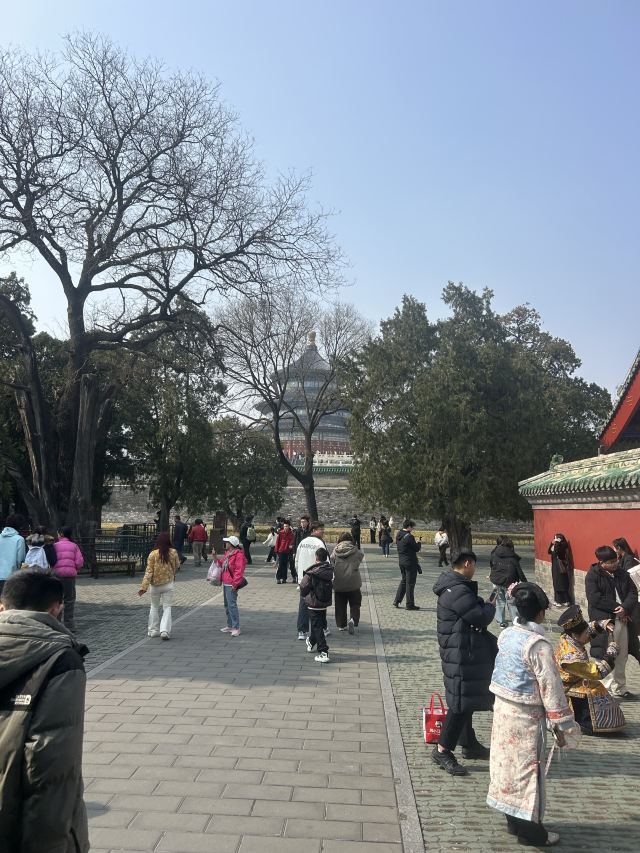 天坛公园旅行图片 1