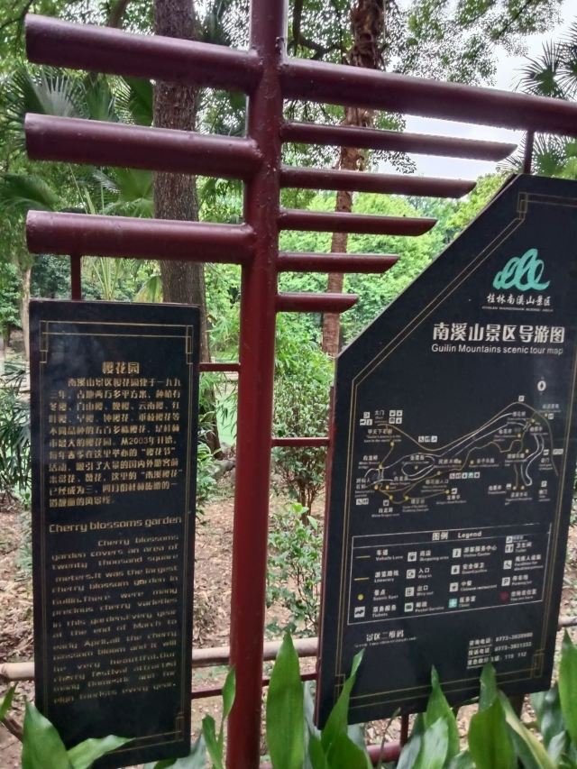 南溪山公园旅行图片 9