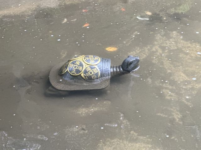 杉木湖景区旅行图片 2
