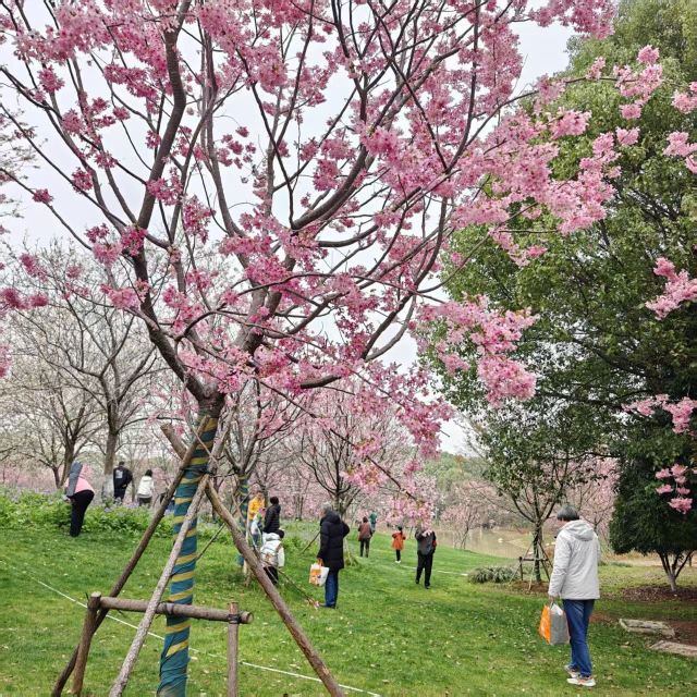 江西省凤凰沟风景区旅行图片 3