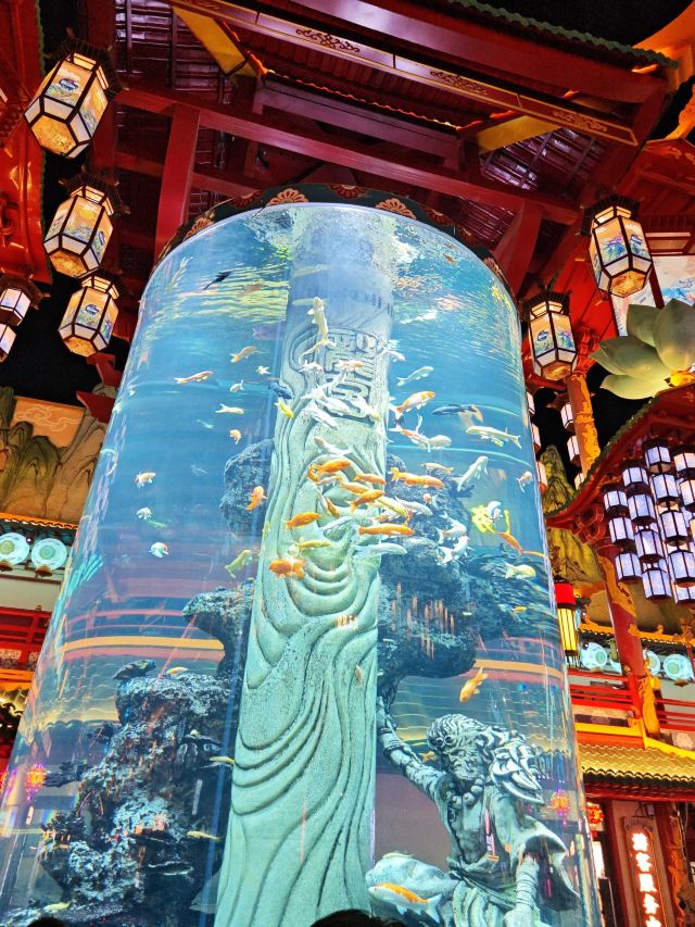 青岛明月·山海间旅行图片 1