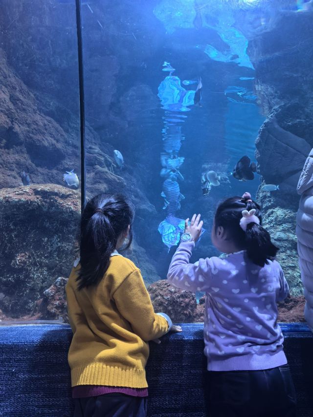 南昌海洋公园旅行图片 2