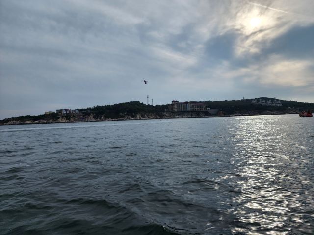 养马岛林间花海旅行图片 2