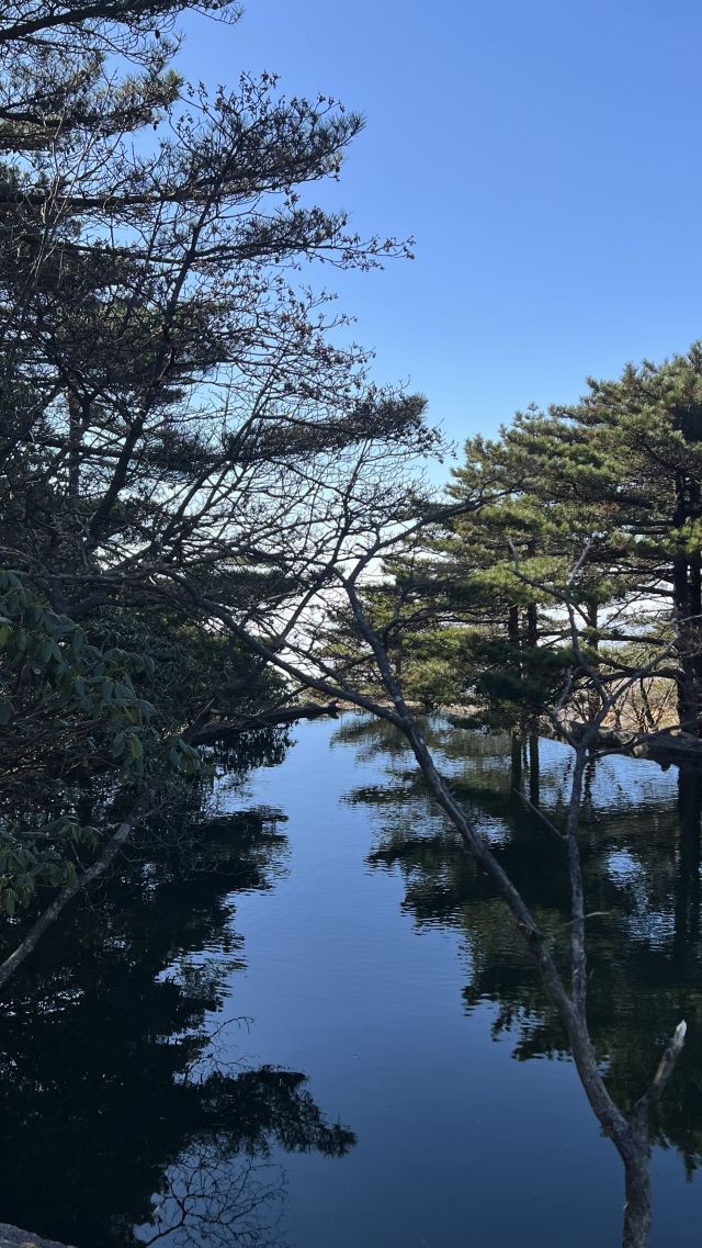黄山风景区旅行图片 2