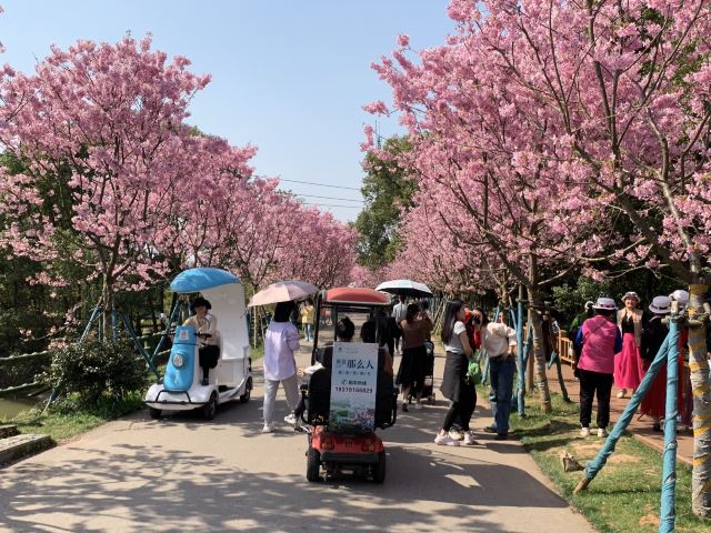 江西省凤凰沟风景区旅行图片 4