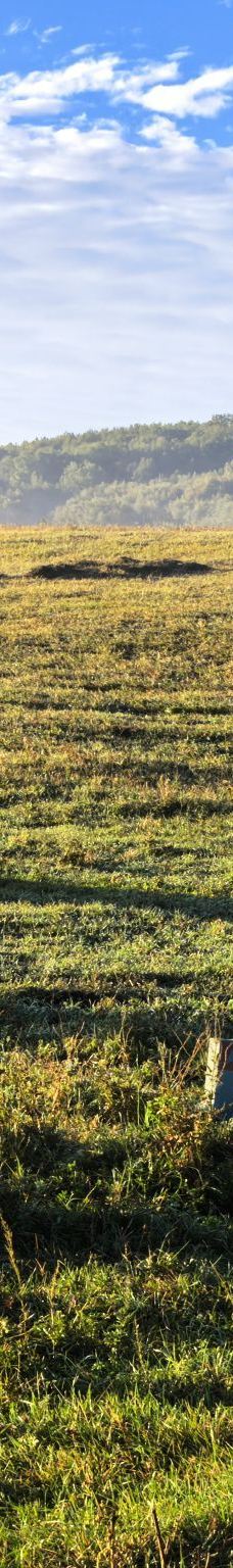 乌兰布统草原-克什克腾旗-301726691