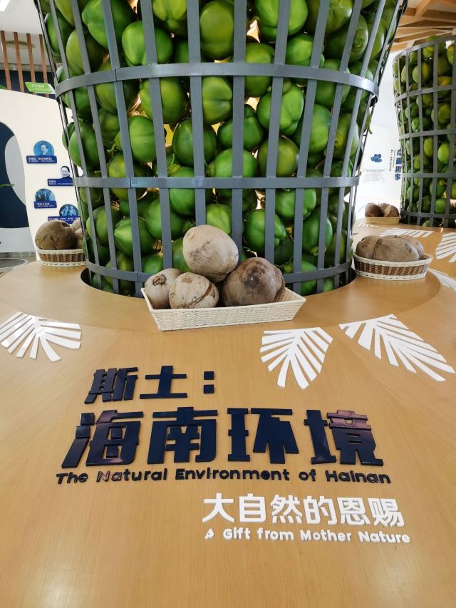 春光椰子王国旅行图片 5