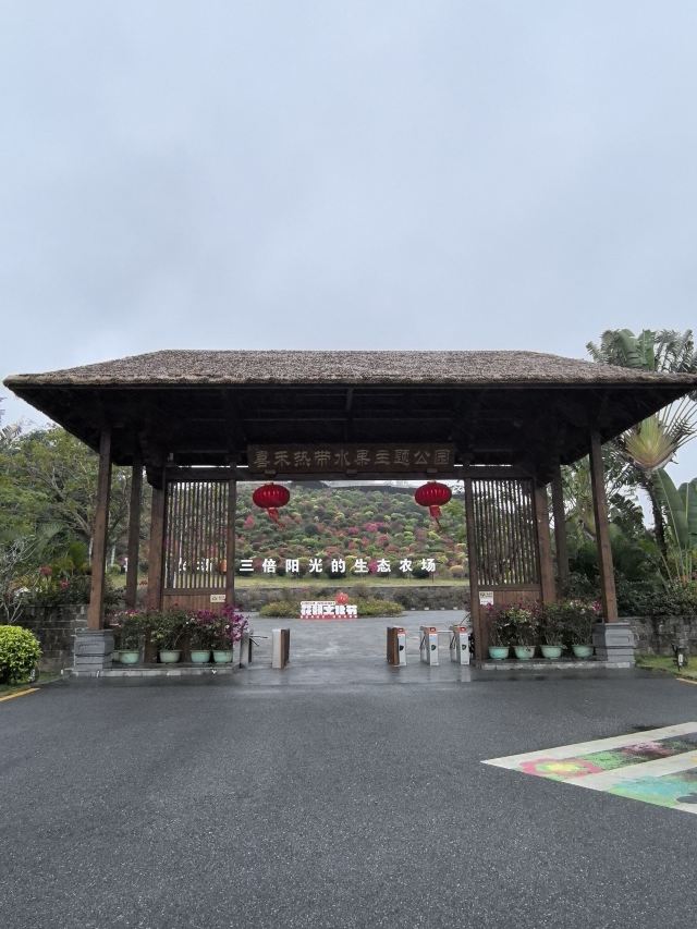 云舍松涛·海南中国村旅行图片 2