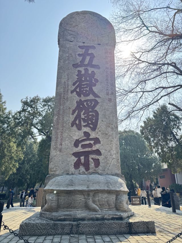 岱庙旅行图片 2