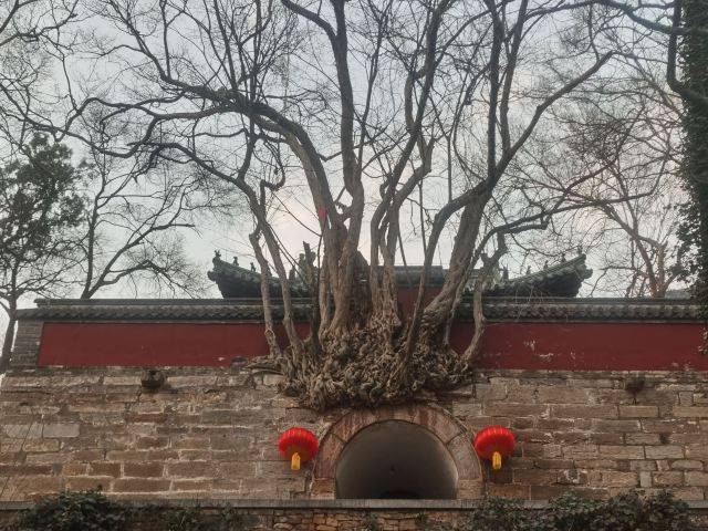 灵岩寺景区旅行图片 1