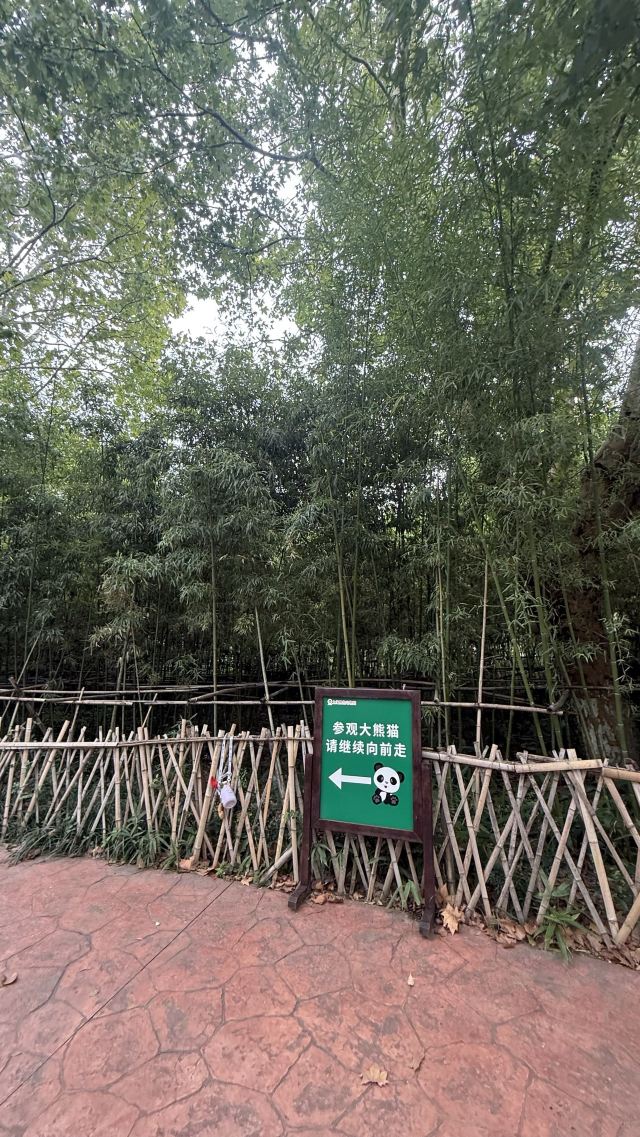 上海野生动物园旅行图片 1