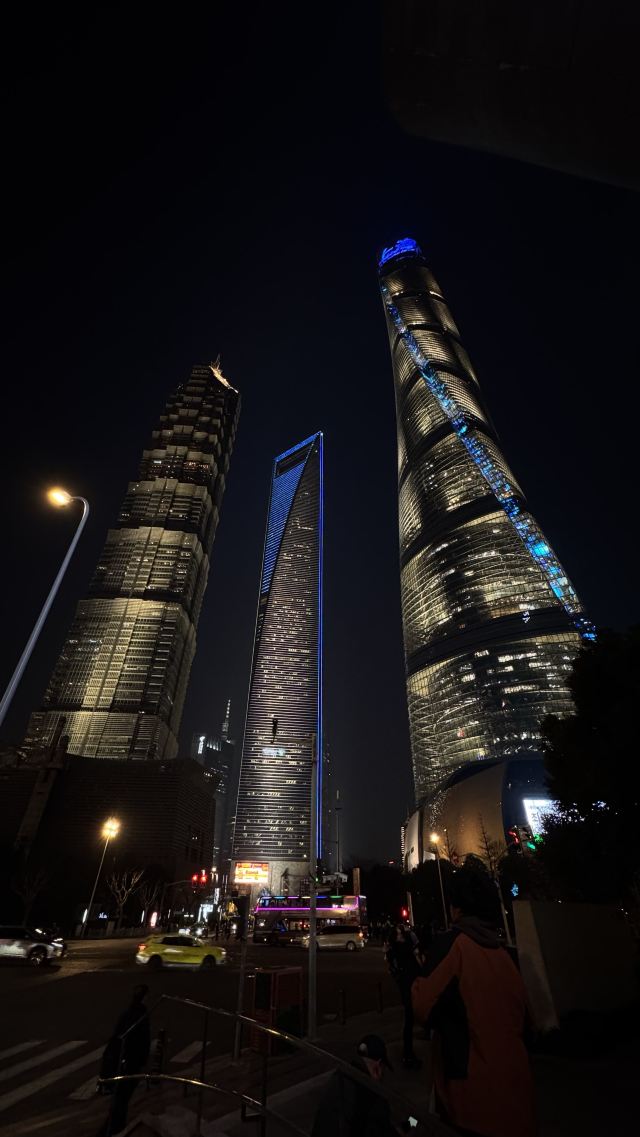 陆家嘴中心绿地旅行图片 1