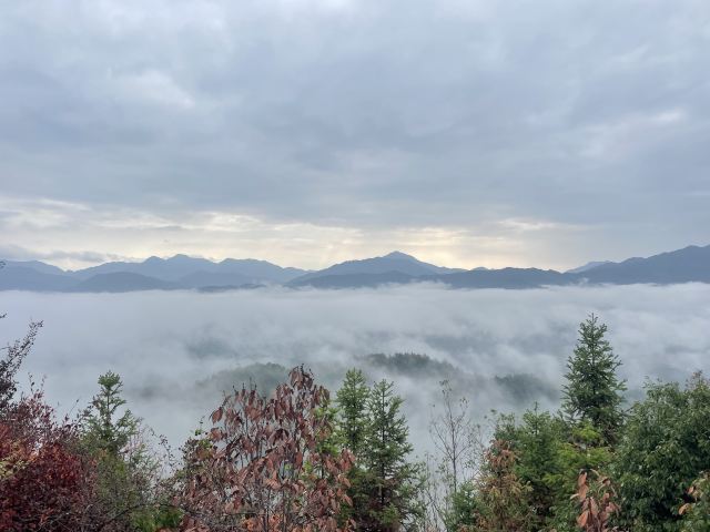 江西野狼谷景区旅行图片 4