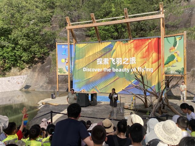 千鹦鸟舍鹦鹉主题乐园旅行图片 1
