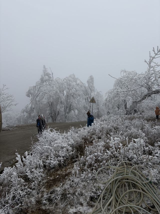 王岗坪旅游景区-露营区旅行图片 3