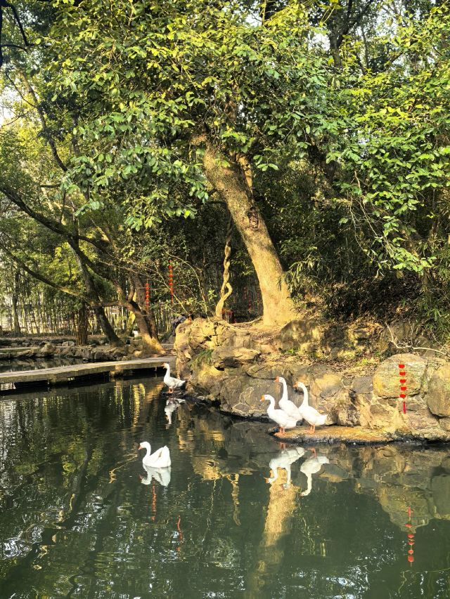 兰亭景区旅行图片 1