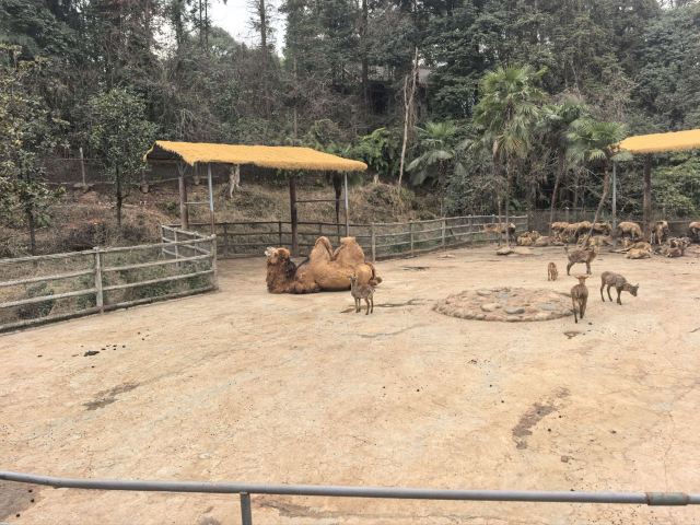 碧峰峡风景区旅行图片 3