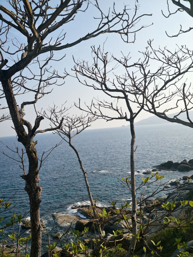 蜈支洲岛旅游风景区旅行图片 3