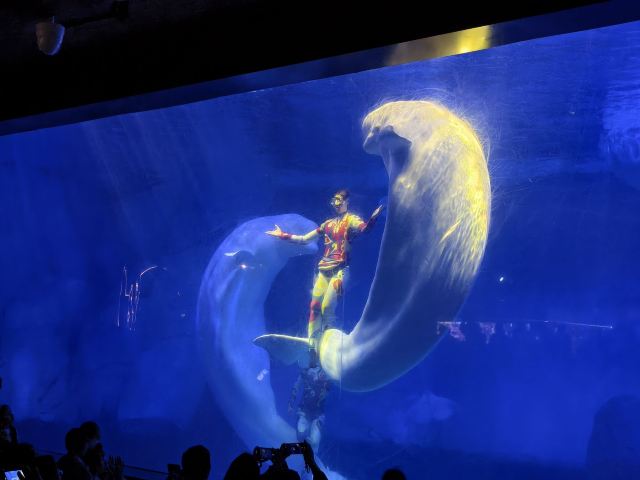 海合安武汉极地海洋度假区旅行图片 3