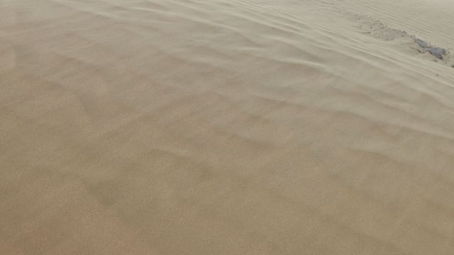 沙坡头旅游景区旅行图片 3