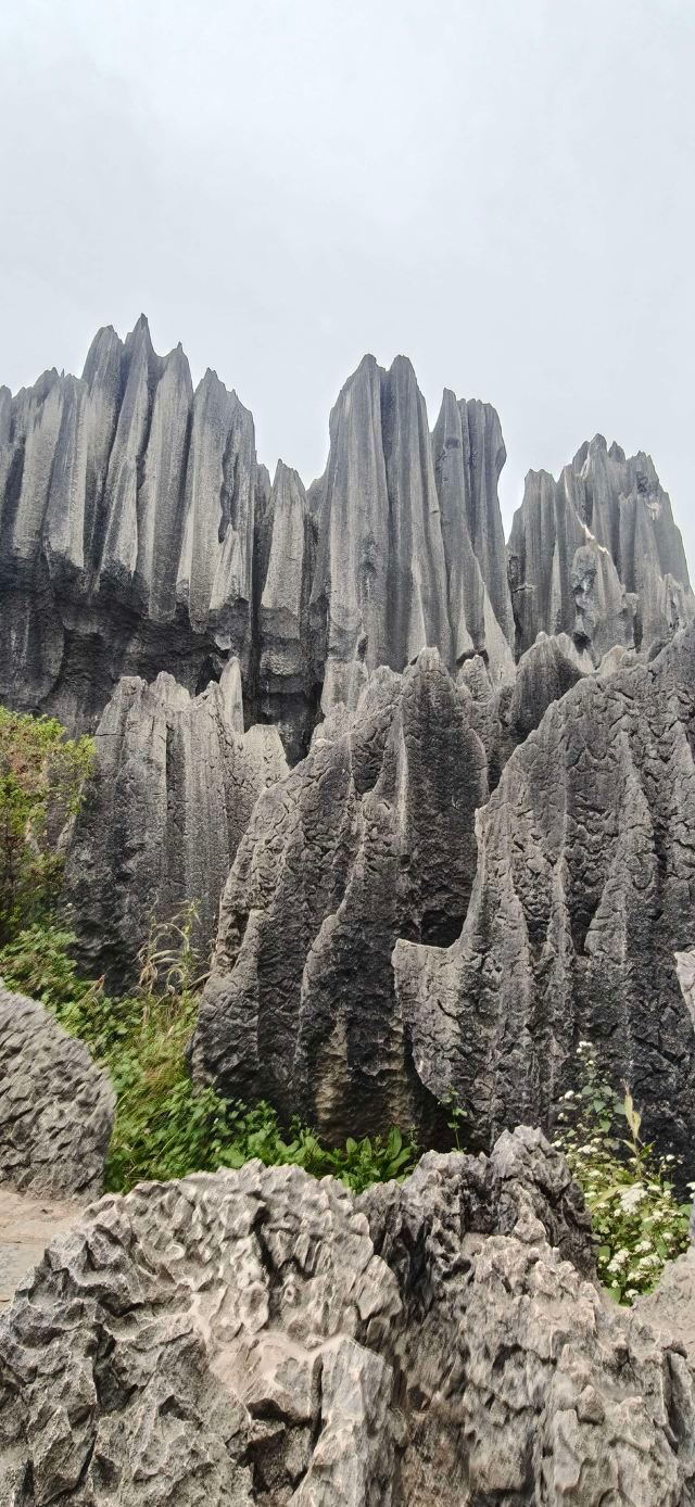 石林风景区旅行图片 1