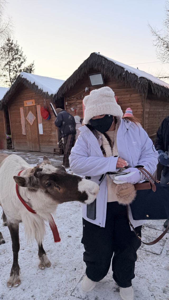 长白山雪绒花驯鹿园旅行图片 1