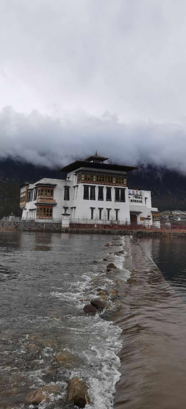 鲁朗林海风景区旅行图片 4