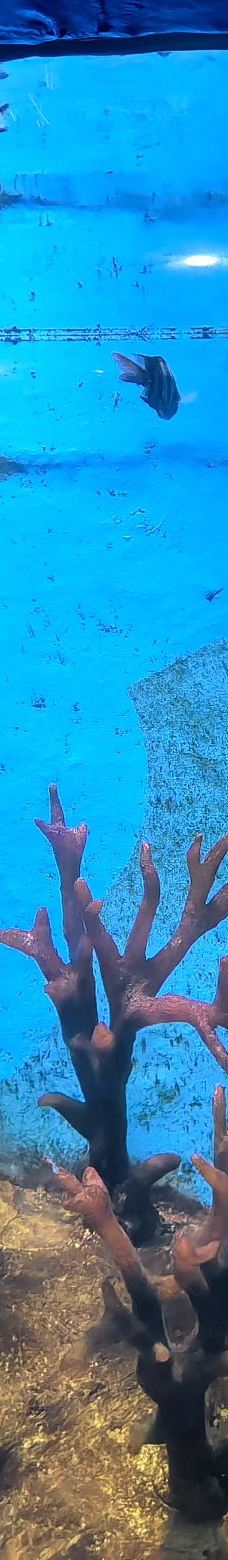 呼和浩特-陌路158