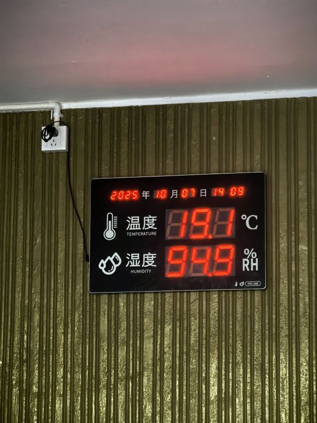 灵栖洞旅行图片 1