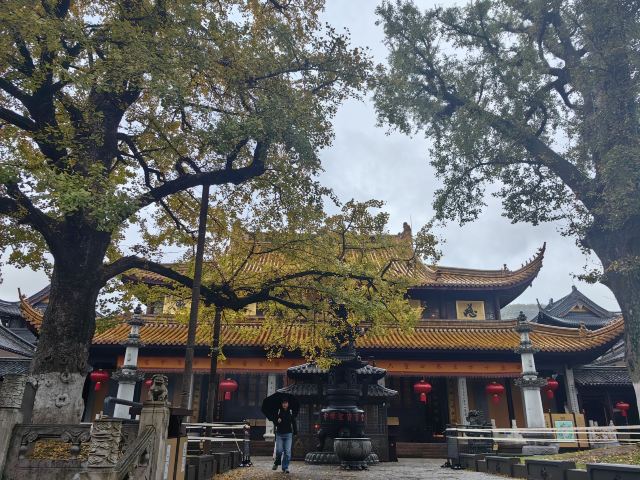 人间弥勒旅行图片 2