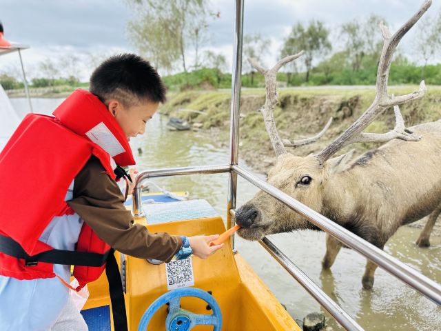 中华麋鹿园旅行图片 2