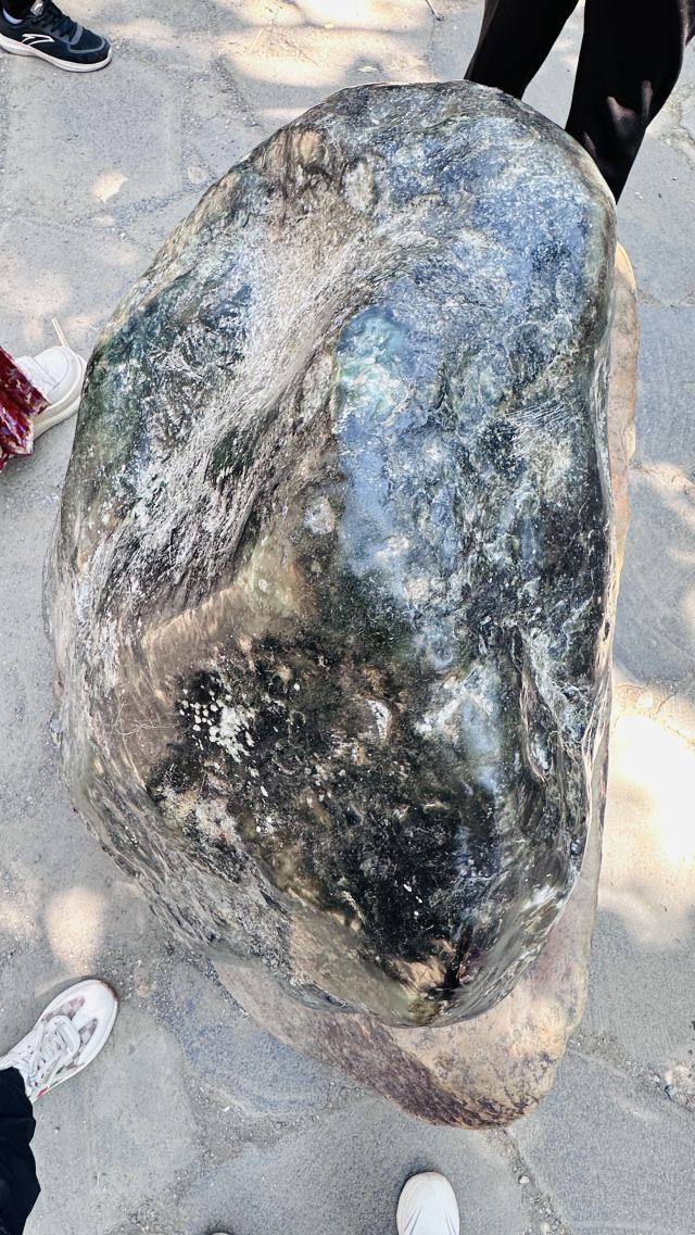 勐巴娜西珍奇园旅行图片 4