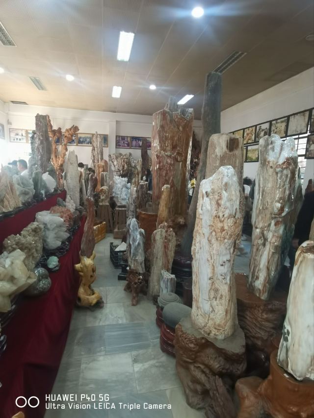 勐巴娜西珍奇园旅行图片 6